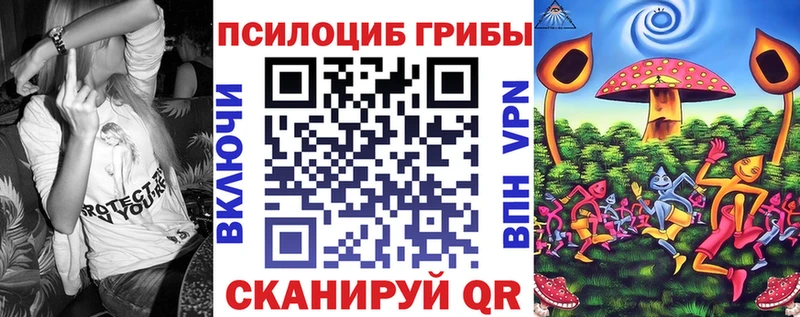 Купить где  Красновишерск  Галлюциногенные грибы Psilocybine cubensis 